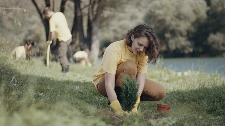 Lawn Renovation and Restoration in Hart, TX